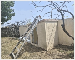  2025Ÿ30767 泲 õ   495-2      ð