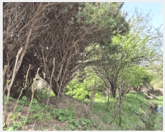  2025Ÿ30767 泲 õ   495-2      ð