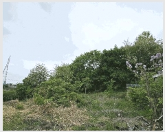  2025Ÿ��30781 �泲 ���ֽ� ���̸� ȭ���� 1658-6      ����(����)���