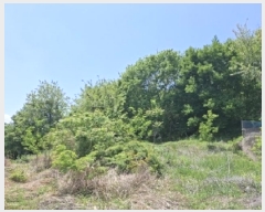  2025Ÿ��30781 �泲 ���ֽ� ���̸� ȭ���� 1658-6      ����(����)���