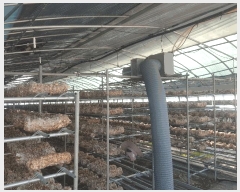  2025Ÿ��30788 �泲 ��õ�� ����� �۸��� 101-1      ����(��)���