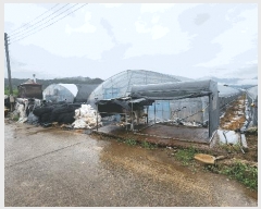  2025Ÿ��30829  ����