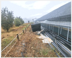  2025Ÿ��30829  ����