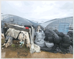  2025Ÿ��30829  ����