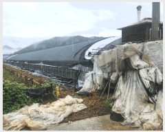  2025Ÿ��30829  ����