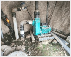  2025Ÿ��30829  ����