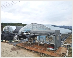  2025Ÿ��30829  ����