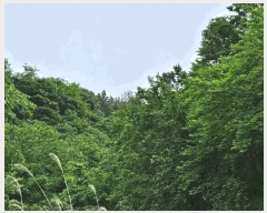  2025Ÿ��30849 �泲 ���ֽ� ����� �ΰ踮 1183-6      ����(��)���