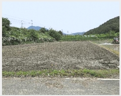  2025Ÿ��30849 �泲 ���ֽ� ����� �ΰ踮 1183-6      ����(��)���