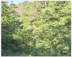  2025Ÿ��30849 �泲 ���ֽ� ����� �ΰ踮 1183-6      ����(��)���