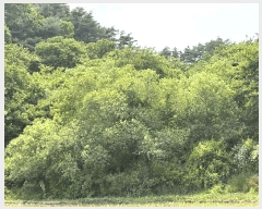  2025Ÿ��30856 �泲 ��û�� ��Ȳ�� ��ڸ� 208      ����(��1)���