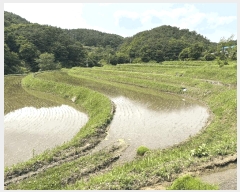  2025Ÿ��30856 �泲 ��û�� ��Ȳ�� ��ڸ� 208      ����(��1)���