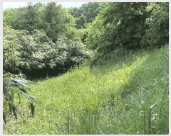  2025Ÿ��30856 �泲 ��û�� ��Ȳ�� ��ڸ� 208      ����(��1)���