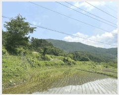  2025Ÿ��30856 �泲 ��û�� ��Ȳ�� ��ڸ� 208      ����(��1)���