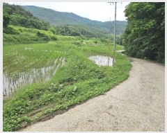  2025Ÿ��30856 �泲 ��û�� ��Ȳ�� ��ڸ� 208      ����(��1)���