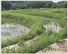  2025Ÿ��30856 �泲 ��û�� ��Ȳ�� ��ڸ� 208      ����(��1)���