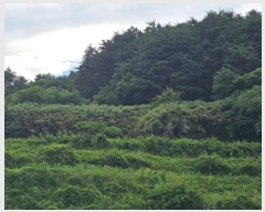  2025Ÿ��30856 �泲 ��û�� ��Ȳ�� ��ڸ� 208      ����(��1)���