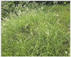  2025Ÿ��30856 �泲 ��û�� ��Ȳ�� ��ڸ� 208      ����(��1)���