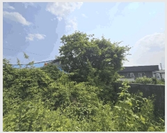  2025Ÿ��30869 �泲 ��õ�� �糲�� ��õ�� 369-3      ���ð��