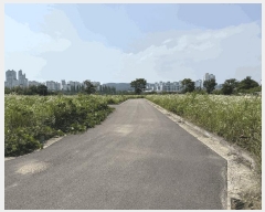  2025Ÿ��30922 �泲 ���ֽ� ������ ���긮 520-7      ����(��1)���