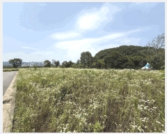  2025Ÿ��30922 �泲 ���ֽ� ������ ���긮 520-7      ����(��1)���