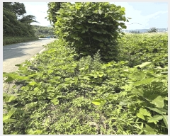  2025Ÿ��30922 �泲 ���ֽ� ������ ���긮 520-7      ����(��1)���