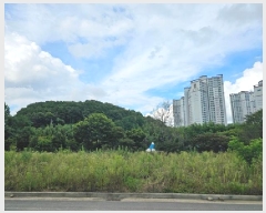  2025Ÿ��30922 �泲 ���ֽ� ������ ���긮 520-7      ����(��1)���