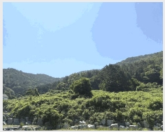  2025Ÿ��30947  �����