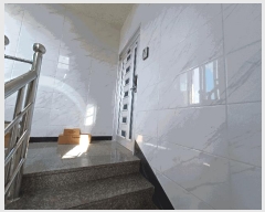  2025Ÿ��30961  �ٰ������ð��