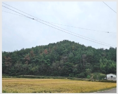  2025Ÿ��30972  �Ӿ߰��