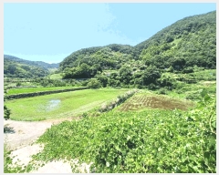  2025Ÿ��30984  ����