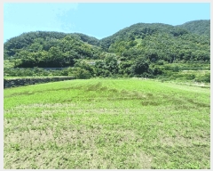  2025Ÿ��30984  ����