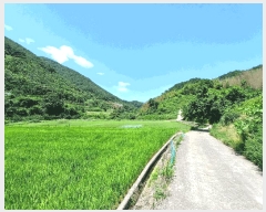  2025Ÿ��30984  ����