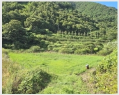  2025Ÿ��30984  ����