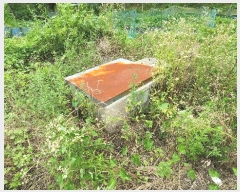  2025Ÿ��31009 �泲 ���ֽ� ������ �󹮸� 963      �����ڽü����