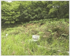  2025Ÿ��31015 �泲 ��û�� ��õ�� �߻긮 ��45      ����(�Ӿ�)���