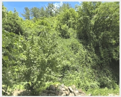  2025Ÿ��31015 �泲 ��û�� ��õ�� �߻긮 ��45      ����(�Ӿ�)���