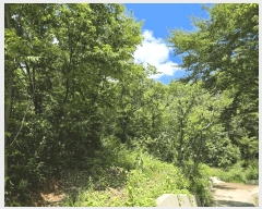  2025Ÿ��31015 �泲 ��û�� ��õ�� �߻긮 ��45      ����(�Ӿ�)���