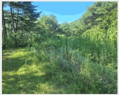  2025Ÿ��31026  �ٰ������ð��