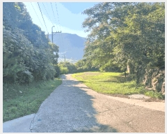  2025Ÿ��31026  �ٰ������ð��