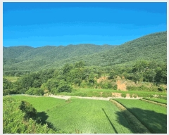  2025Ÿ��31026  �ٰ������ð��