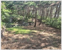  2025Ÿ��31026  �ٰ������ð��