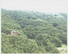  2025Ÿ��31037 �泲 ���ֽ� �̹ݼ��� �߻긮 409      ���ð��