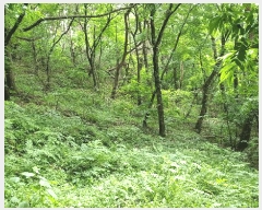  2025Ÿ��31037 �泲 ���ֽ� �̹ݼ��� �߻긮 409      ���ð��