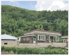  2025Ÿ��31037 �泲 ���ֽ� �̹ݼ��� �߻긮 409      ���ð��