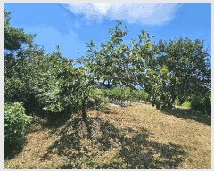  2025Ÿ��31044 �泲 ���ر� ��õ�� ���Ǹ� 710-2      ����(��)���