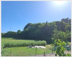  2025Ÿ��31044  �����