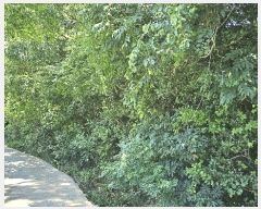  2025Ÿ��31044 �泲 ���ر� ��õ�� ���Ǹ� 710-2      ����(��)���