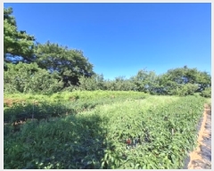  2025Ÿ��31044  ����