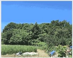  2025Ÿ��31044 �泲 ���ر� ��õ�� ���Ǹ� 710-2      ����(��)���